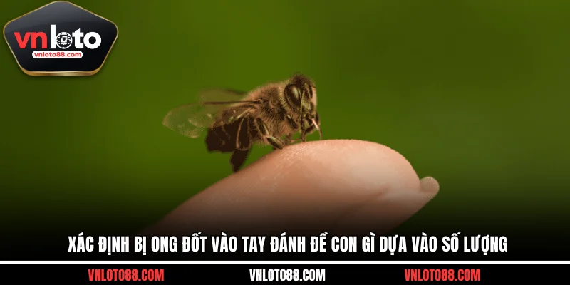 Xác định bị ong đốt vào tay đánh đề con gì dựa vào số lượng